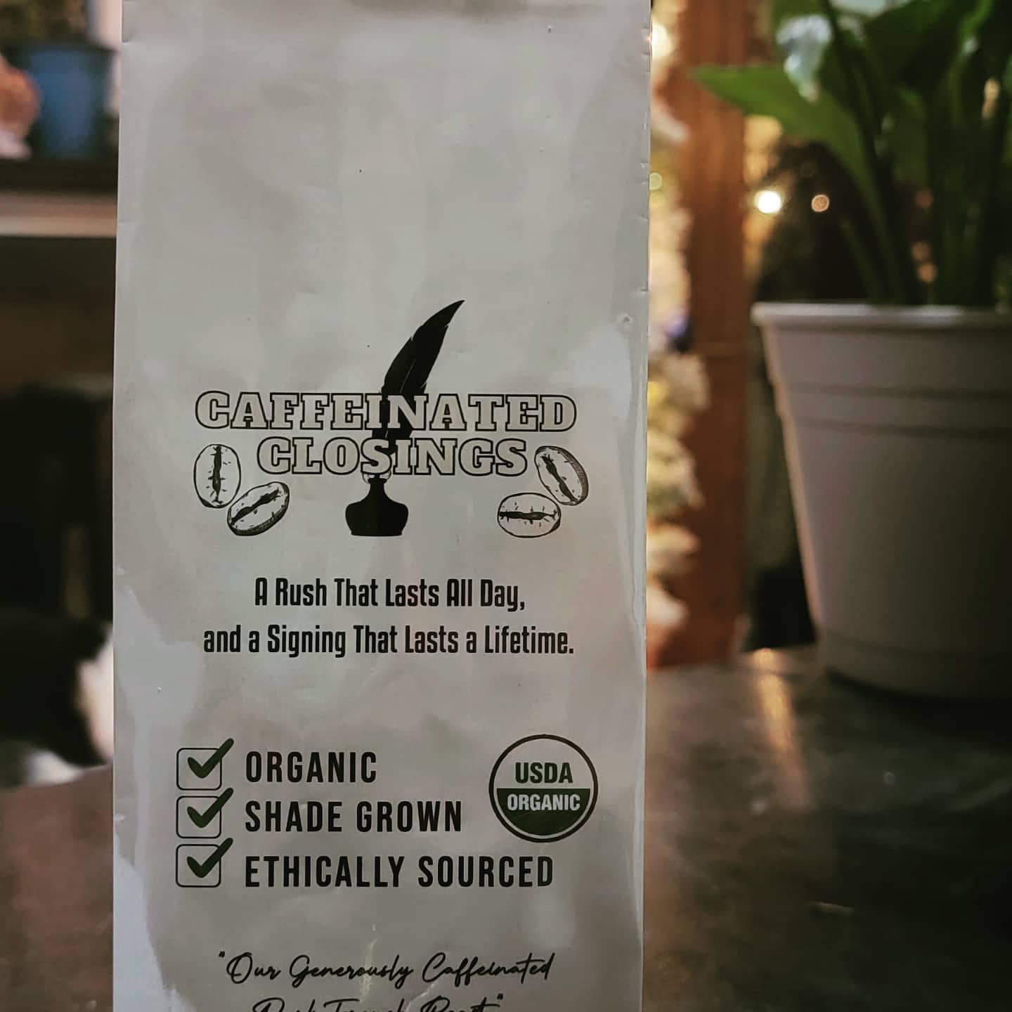 271474368_439829537826233_7726156680159691114_n-1